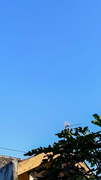 A clear blue sky stretches above a rustic rooftop and lush green foliage, evoking a sense of tranquility and natural beauty. The scene captures a peaceful moment in nature.