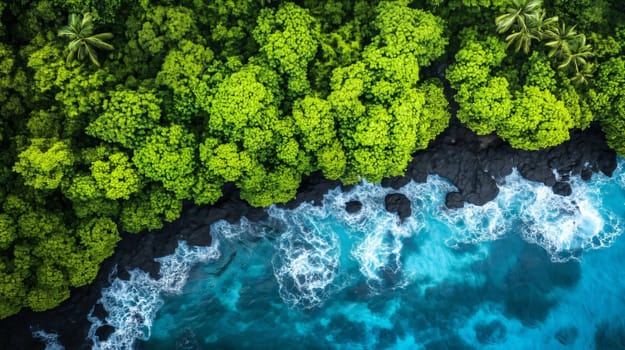 Aerial view of turquoise water crashing on volcanic black sand beach with lush green tropical forest