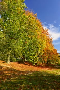 Beautiful colourful autumn landscape in the Czech Republic. Colorful trees in nature in autumn season. Seasonal concept for outdoor activities.