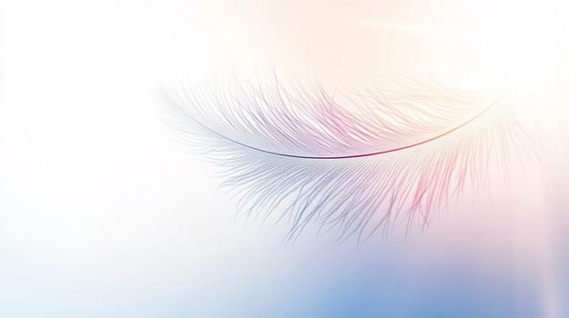 Single white feather is floating on a light pastel color background with copy space