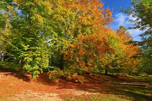 Beautiful colourful autumn landscape in the Czech Republic. Colorful trees in nature in autumn season. Seasonal concept for outdoor activities.