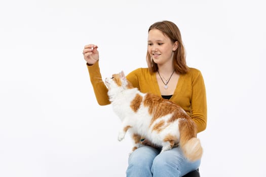 A woman happily enjoying playtime with her beloved cat in a bright, airy, minimalist studio environment