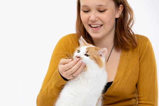 A joyful girl interacts with a fluffy orange and white cat, highlighting their delightful bond and spreading happiness