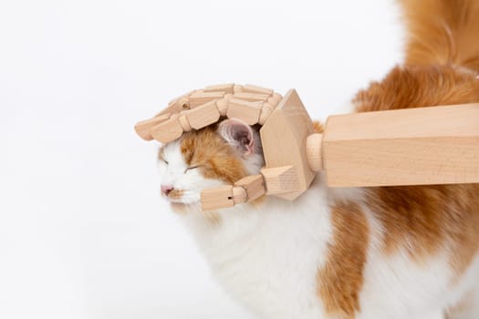 This whimsical and charming cat portrait showcases a delightful playful wooden hand sculpture that is creative and fun