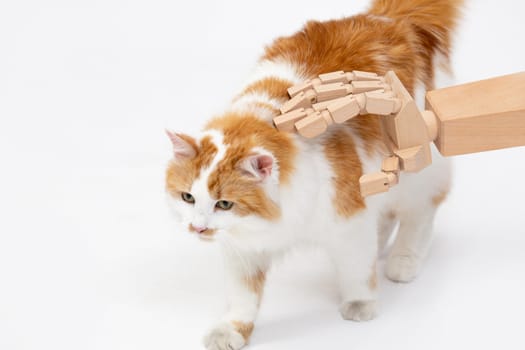 This is a playful illustration depicting a wooden hand gently caressing a cat, highlighting creativity and interaction