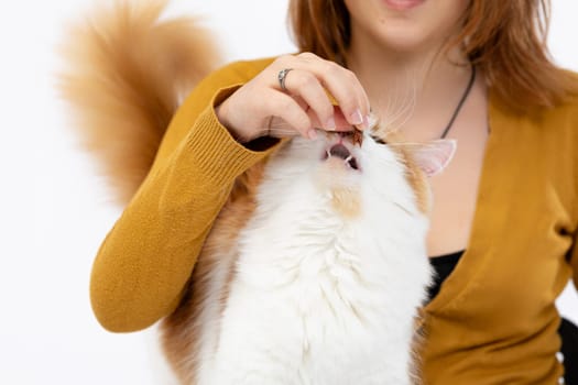 A joyful moment between a cat and its owner, highlighting their special bond and playful feeding interaction