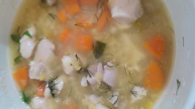 vegetable soup with chicken, food cooking lunch recipe. High quality photo