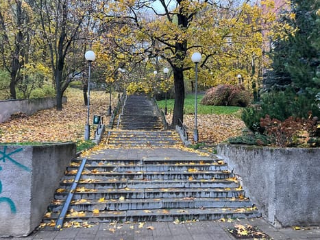 stairs covered with autumn leaves in Kaunas, autumn. High quality photo