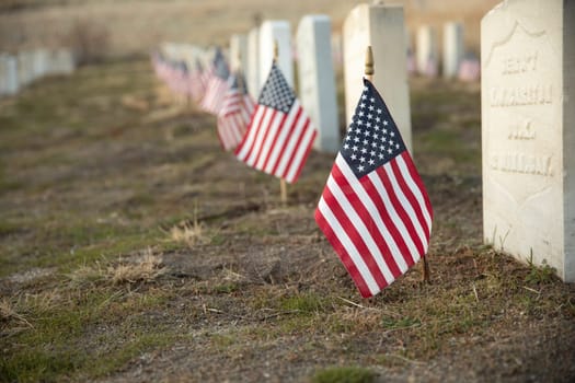 American flags line the graves in a military cemetery, symbolizing respect and remembrance for veterans' sacrifices. A solemn tribute to honor bravery and service.