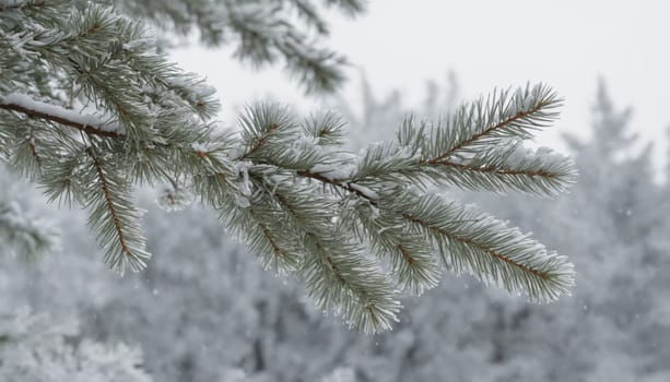 Frosted pine branches hang delicately, adorned with fresh snow, as the serene winter landscape fades into a soft blur, evoking peaceful calmness.