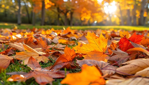 A natural landscape in a park with a pile of orange autumn leaves scattered on the grass, near a deciduous tree branch, highlighted by sunlight