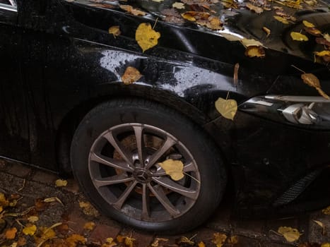 Cremona, Lombardy, Italy October 15th 2024 Fallen autumn leaves accumulating on a parked black mercedes car on a cobblestone street, symbolizing the changing seasons