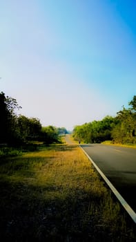 A picturesque view of a straight road cutting through a lush green forest on a bright day, with a clear blue sky overhead. Perfect for conveying serenity and adventure.