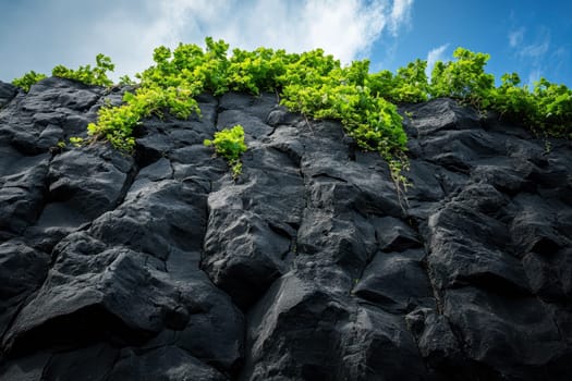 Ivy growing on dark grey cliffs. ai generative..
