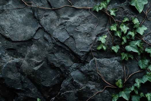 Ivy growing on dark grey cliffs. ai generative..