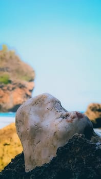 A close-up of a skull-shaped rock on a rocky beach shoreline, evoking mystery and the beauty of natural formations under clear skies.