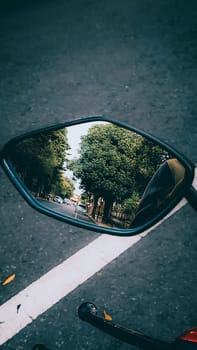A vivid reflection of a lush tree-lined road is captured in a motorcycle mirror, suggesting travel and adventure. The mirror's angle offers a unique perspective of the picturesque journey.