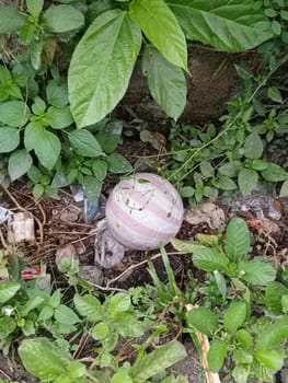 A worn soccer ball lies amidst lush green plants and debris, illustrating abandonment and nature's persistence. Perfect for concepts of decay, urban exploration, or environmental awareness.