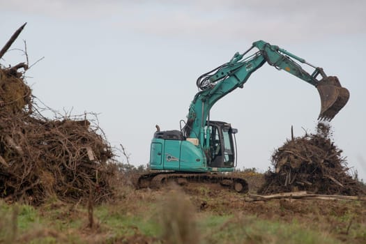 FRANCE, GIRONDE, NAUJAN-ET-POSTIAC, BORDEAUX VINEYARD UPROOTING CAMPAIGN WITH BACKHOE LOADER. High quality photo
