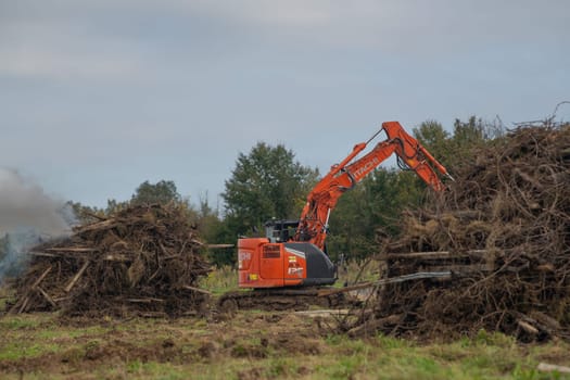 FRANCE, GIRONDE, NAUJAN-ET-POSTIAC, BORDEAUX VINEYARD UPROOTING CAMPAIGN WITH BACKHOE LOADER. High quality photo