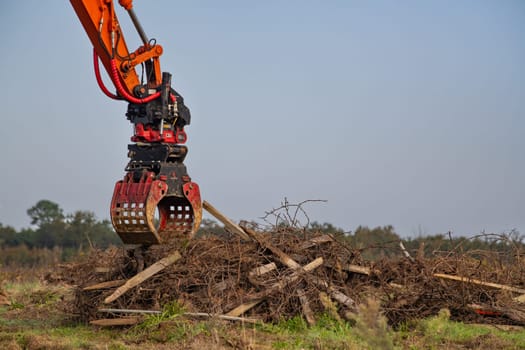 FRANCE, GIRONDE, NAUJAN-ET-POSTIAC, BORDEAUX VINEYARD UPROOTING CAMPAIGN WITH BACKHOE LOADER. High quality photo