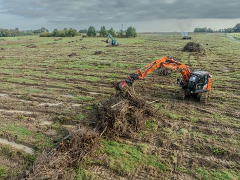 FRANCE, GIRONDE, NAUJAN-ET-POSTIAC, BORDEAUX VINEYARD UPROOTING CAMPAIGN WITH BACKHOE LOADER. High quality photo