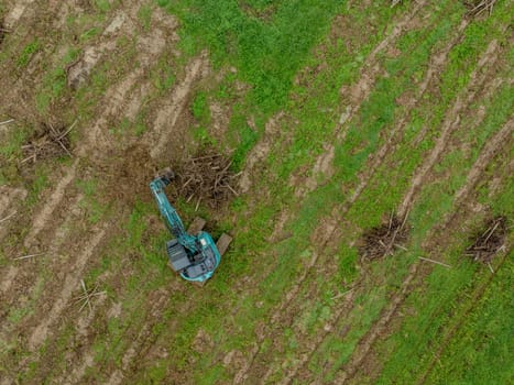 FRANCE, GIRONDE, NAUJAN-ET-POSTIAC, BORDEAUX VINEYARD UPROOTING CAMPAIGN WITH BACKHOE LOADER. High quality photo
