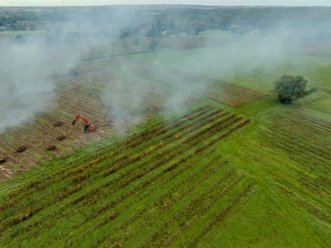 FRANCE, GIRONDE, NAUJAN-ET-POSTIAC, BORDEAUX VINEYARD UPROOTING CAMPAIGN WITH BACKHOE LOADER. High quality photo