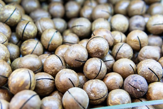 food cooking people ingredient - macadamia no organic nut freshness snack nutshell seed