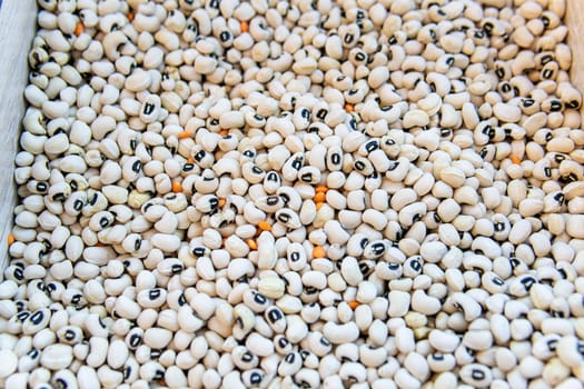 raw natural uncooked bean vegetarian food market healthy vegetable ingredient dry organic
