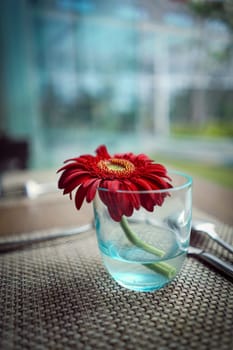 Elegant home decorative item create a luxurious atmosphere interior or exterior design, Perfect for home decorations idea, upscale events, or elegant home decor with a warm and inviting glow, good for multimedia content creations