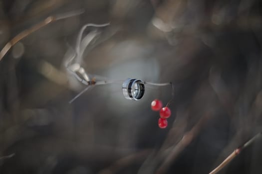 wedding photography. Two wedding rings on a tree branch with blurred background. Love, Wedding, Marriage, Proposal concept.
