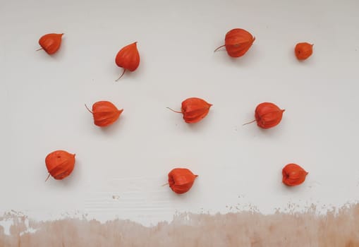 autumn frame with red physalis flowers on white textured background, top view.