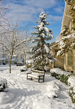 Sunny winter day in residential area of Coquitlam, British Columbia, Canada.