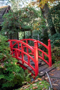 A vibrant red footbridge in a peaceful japanese garden enveloped by lush greenery and autumn leaves, creating a perfect blend of color and tranquility.