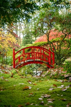 A picturesque red wooden bridge amidst vibrant autumn foliage, capturing the serene beauty and tranquility of a peaceful garden setting