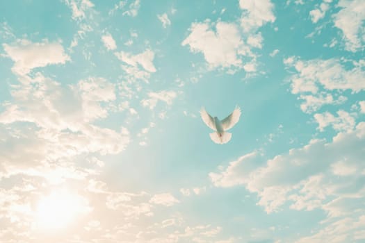 A serene moment captured in the sky, featuring a white dove soaring gracefully against a backdrop of soft clouds and a warm sunset. Perfect for themes of peace and freedom.