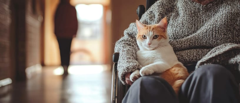 A serene moment in a minimalist nursing home corridor featuring an older adult with a cat, showcasing companionship and comfort in a warm atmosphere.