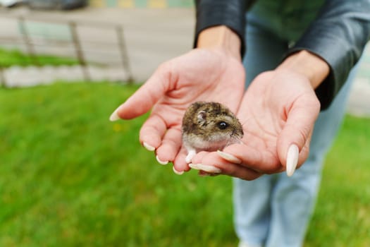 A curious little hamsters rests gently in a child's hand, enjoying a sunny day at the park surrounded by lush green grass