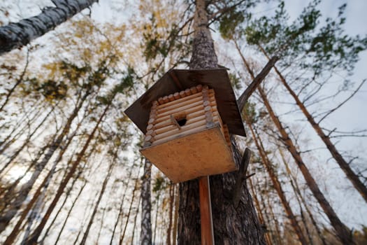 Nestled against a tall tree, this handcrafted birdhouse showcases rustic charm, inviting feathered friends as warm sunlight filters through autumn leaves.