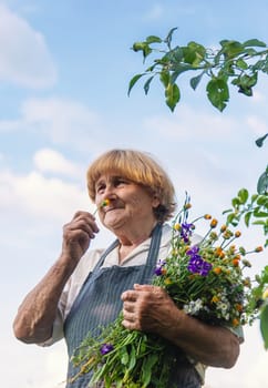 Woman with medicinal herbs in a meadow. Selective focus. nature.