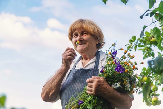 Woman with medicinal herbs in a meadow. Selective focus. nature.