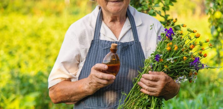 Woman with medicinal herbs in a meadow. Selective focus. nature.