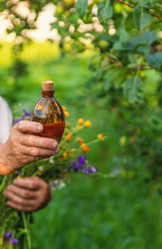 Woman with medicinal herbs in a meadow. Selective focus. nature.