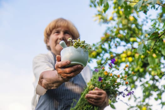 Woman with medicinal herbs in a meadow. Selective focus. nature.