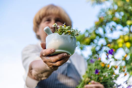 Woman with medicinal herbs in a meadow. Selective focus. nature.