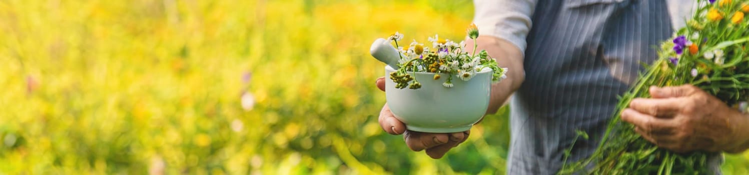 Woman with medicinal herbs in a meadow. Selective focus. nature.