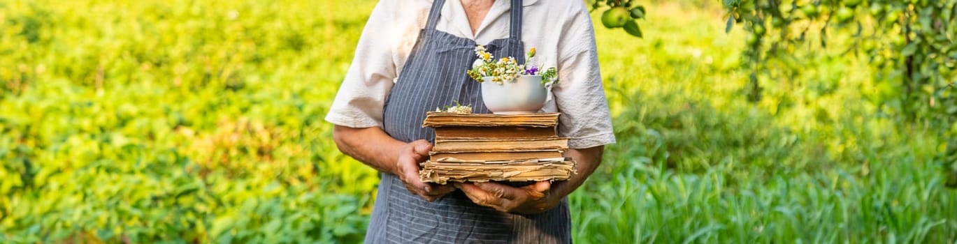 Woman with medicinal herbs in a meadow. Selective focus. nature.