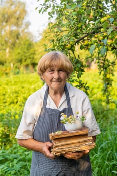 Woman with medicinal herbs in a meadow. Selective focus. nature.