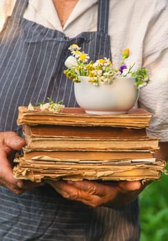 Woman with medicinal herbs in a meadow. Selective focus. nature.